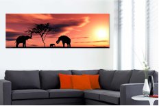 Elefanti Africa 22924
