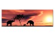 Elefanti Africa 22924