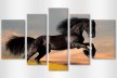 Tablouri moderne Friesian 4842