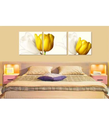 Lalele albe si galbene 22087