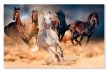 Tablou canvas cai pe plaja 60149