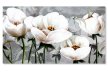 Tablou moderne flori albe 16156