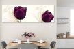 Tablouri Tulips 22987