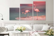 Pasari flamingo 4769