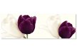 Tablouri Tulips 22987