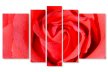 Tablouri Rose 8726