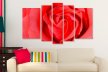 Tablouri Rose 8726