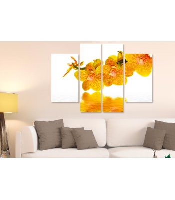 Tablouri Orhidee 5301