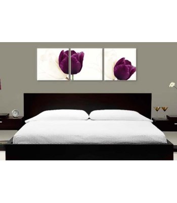 Lalele albe si mov 2287