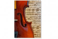 Violin 3672